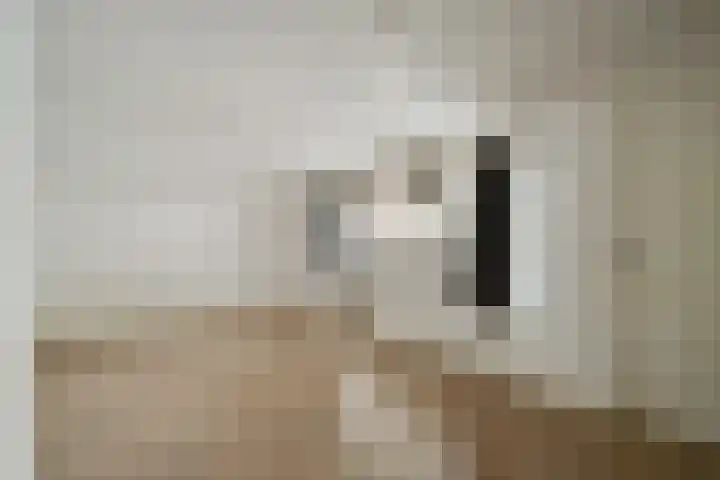Balboastraat 11 Amsterdam thumbnail 14