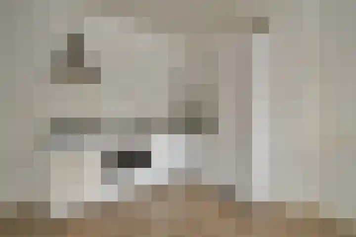 Balboastraat 11 Amsterdam thumbnail 4