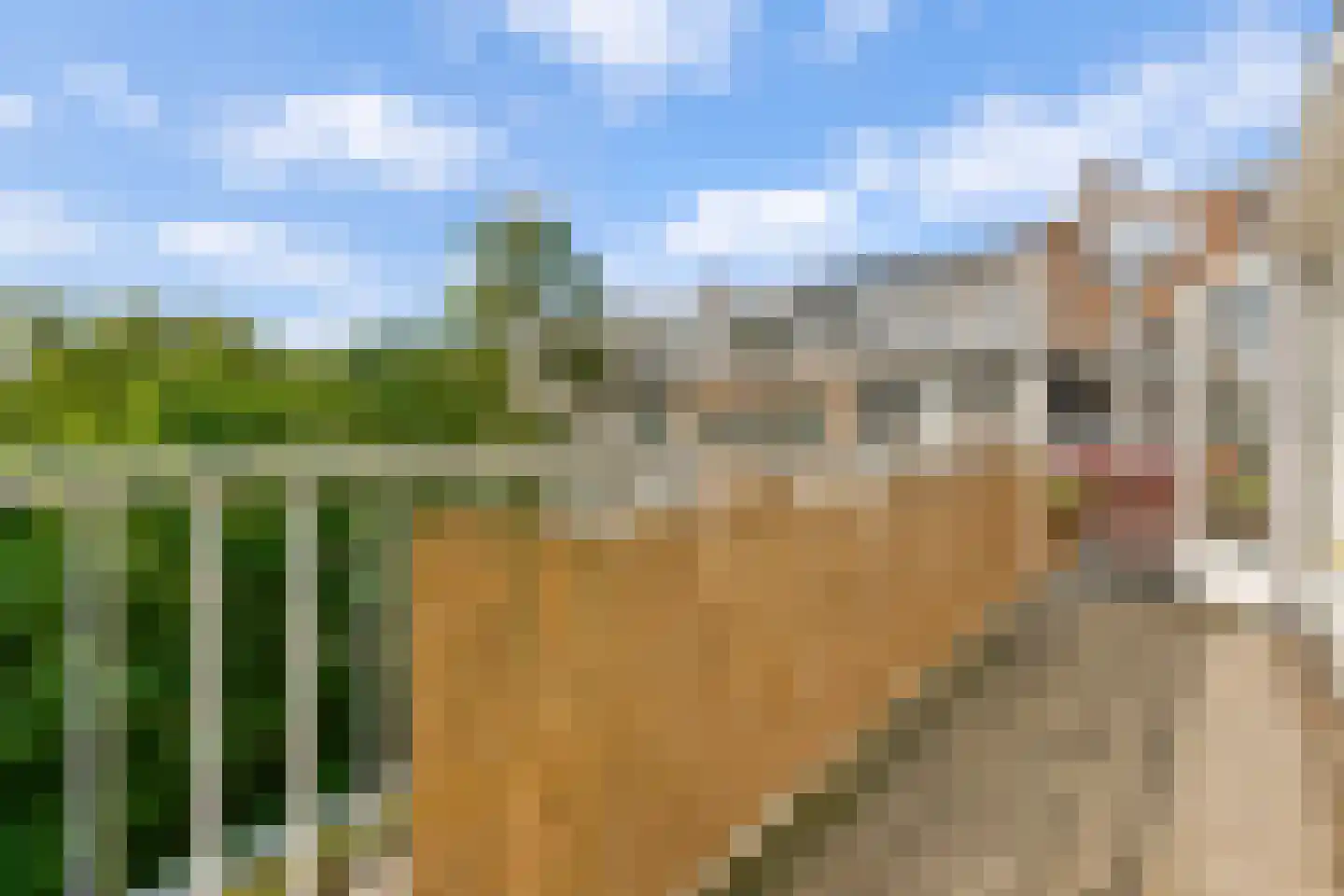 Balboastraat 11 D Amsterdam thumbnail 4