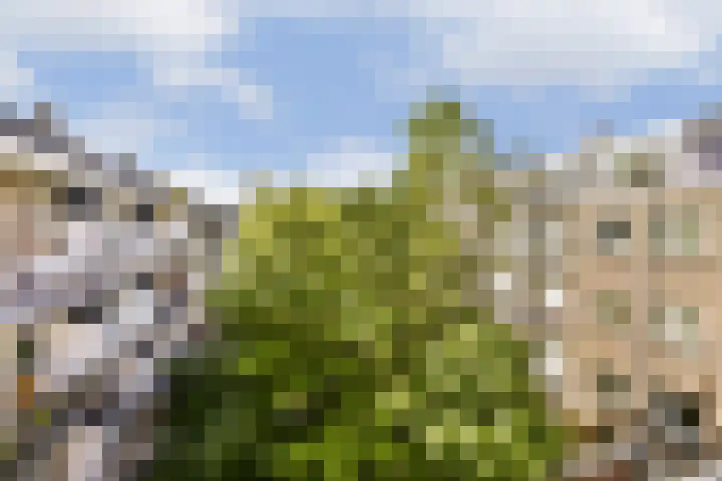 Balboastraat 11 D Amsterdam thumbnail 5