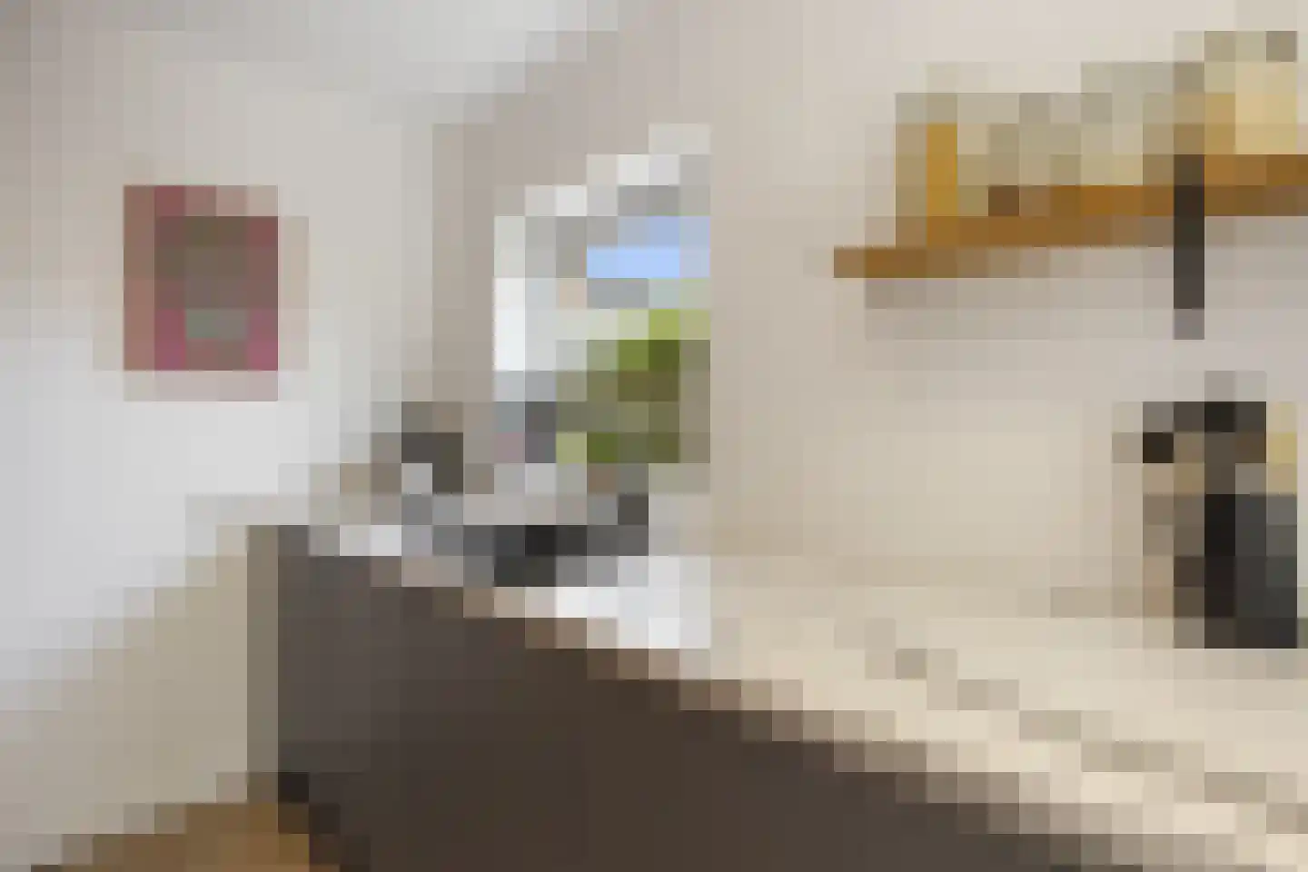 Balboastraat 13 Amersfoort thumbnail 14