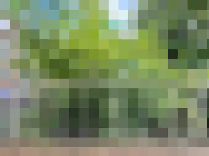 Balboastraat 23 H Amsterdam thumbnail 13