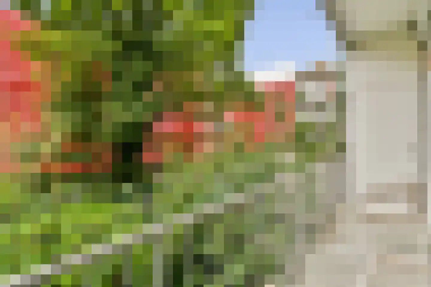 Balboastraat 25 1 Amsterdam thumbnail 16
