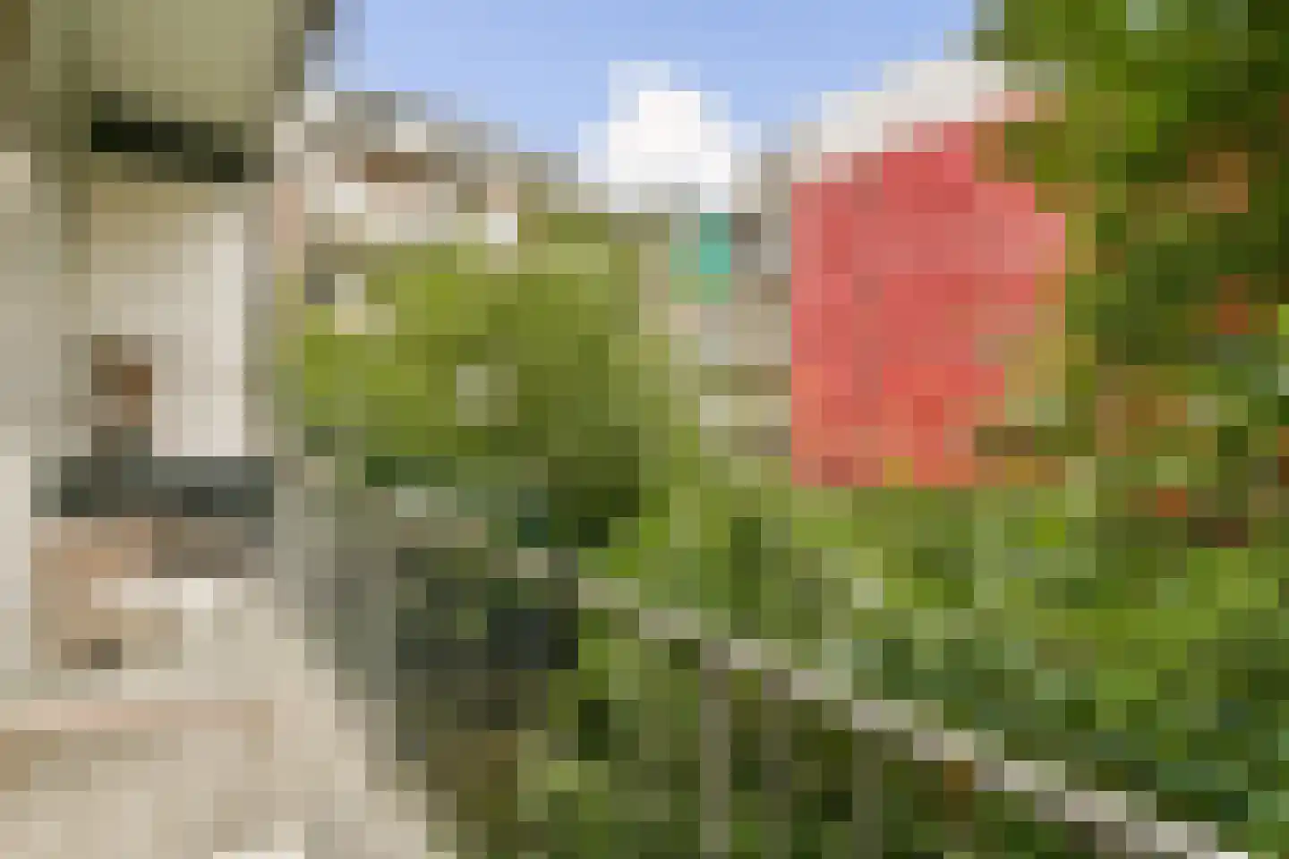 Balboastraat 25 1 Amsterdam thumbnail 4