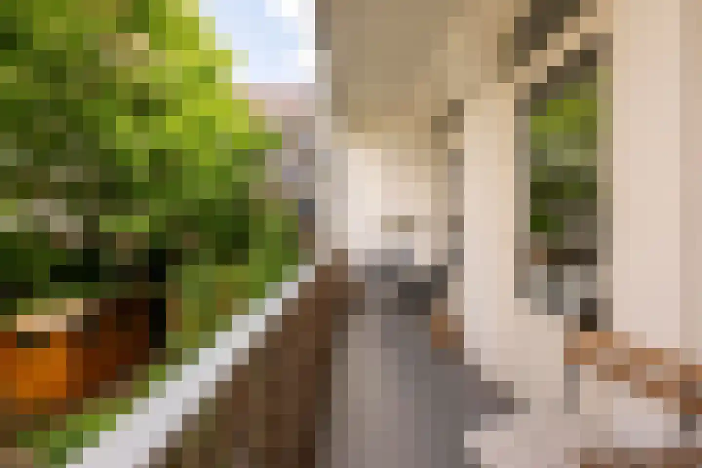 Balboastraat 38 1 Amsterdam thumbnail 17