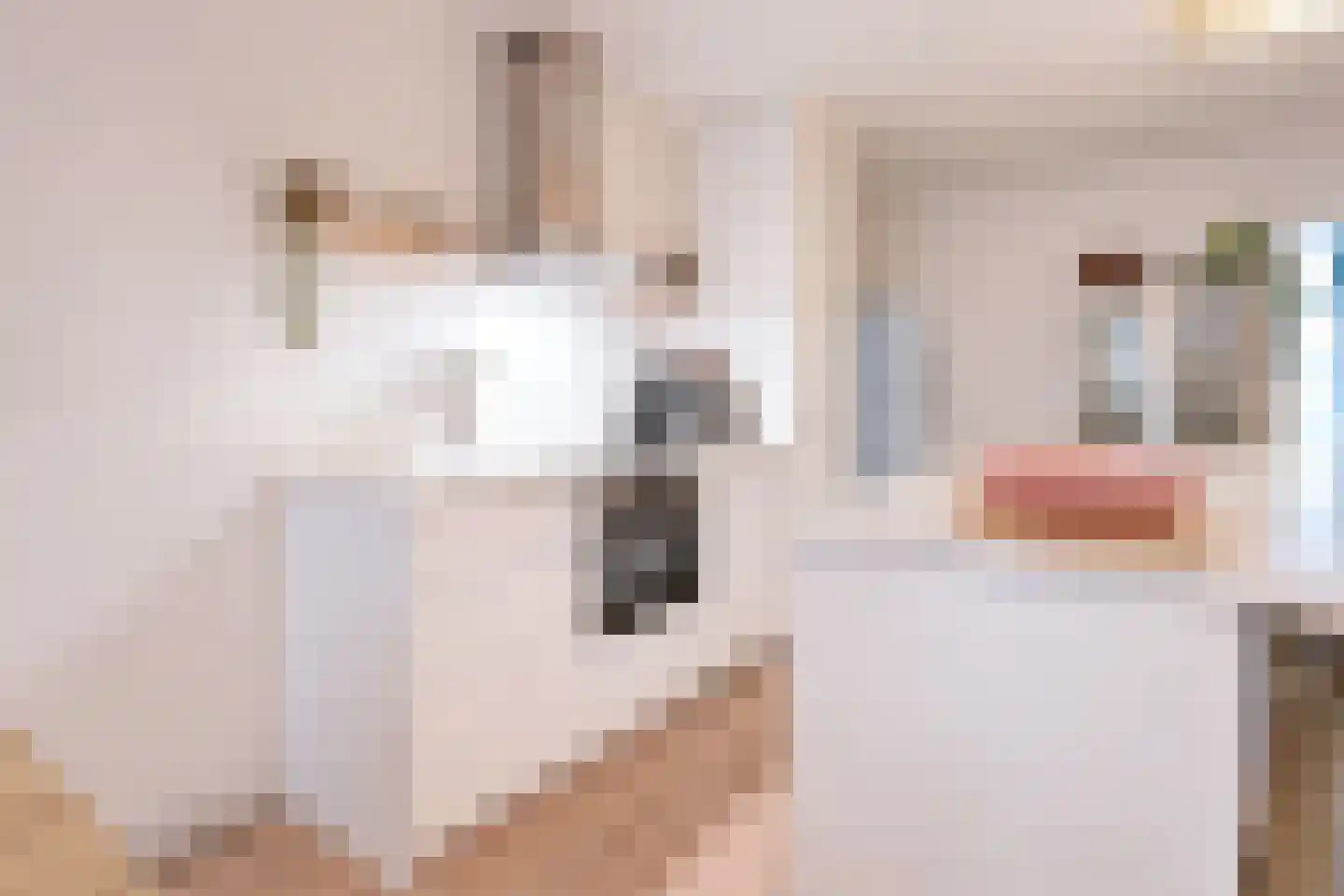 Balboastraat 40 H Amsterdam thumbnail 16