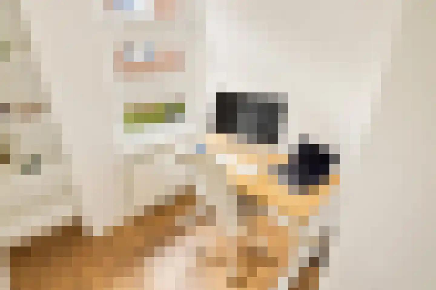Balboastraat 52 2 Amsterdam thumbnail 18