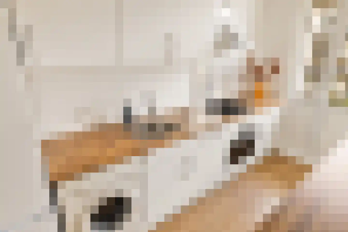 Balboastraat 52 2 Amsterdam thumbnail 29