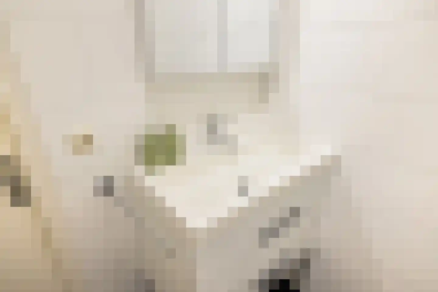 Balboastraat 52 2 Amsterdam thumbnail 35
