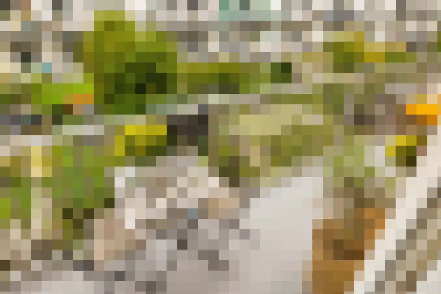 Balboastraat 52 2 Amsterdam thumbnail 36