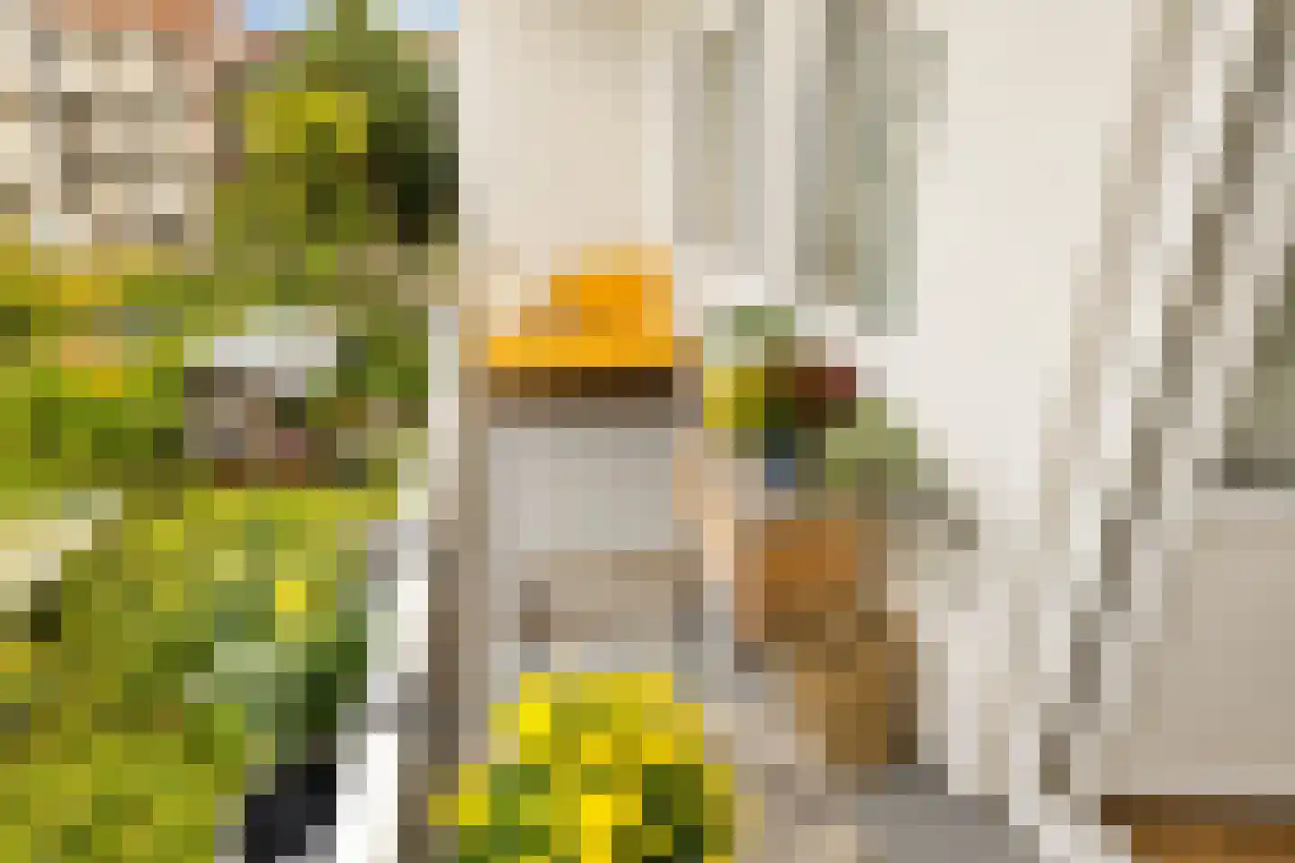 Balboastraat 52 2 Amsterdam thumbnail 38
