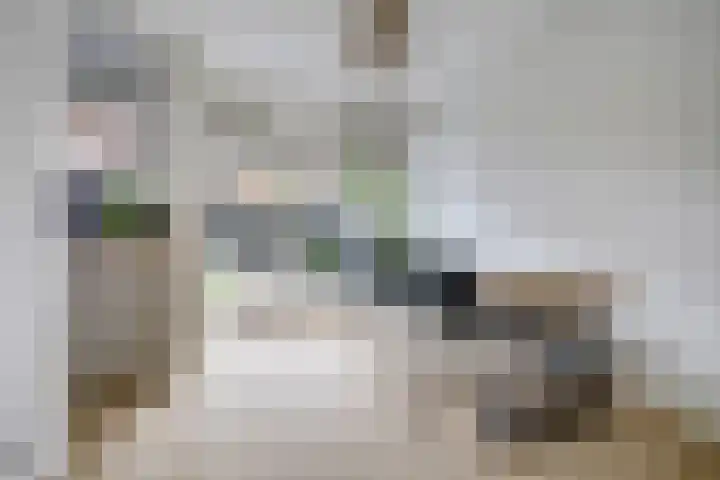 Balderikstraat 3 Utrecht thumbnail 13