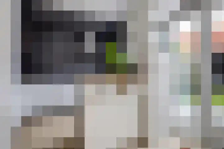 Balderikstraat 3 Utrecht thumbnail 16