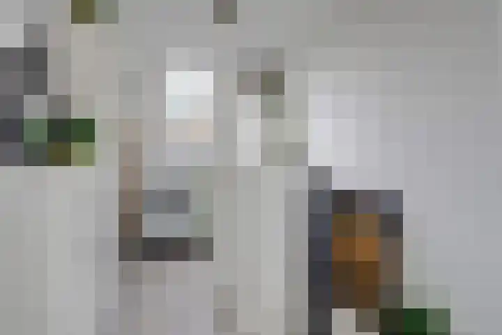 Balderikstraat 3 Utrecht thumbnail 33