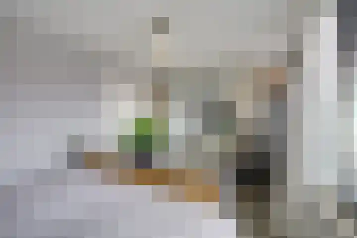 Balderikstraat 3 Utrecht thumbnail 35