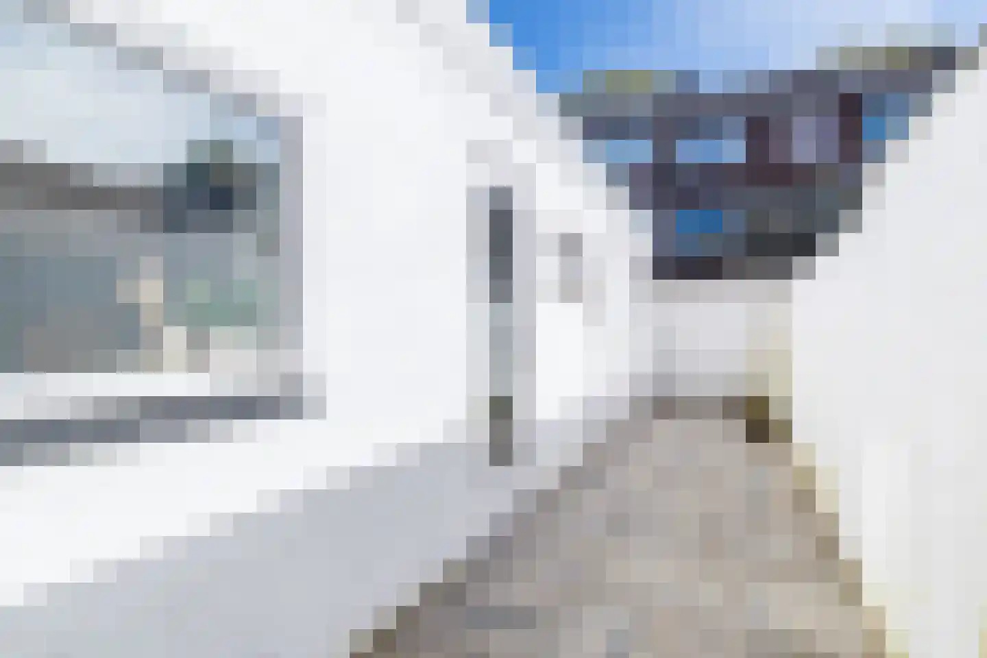 Balderikstraat 47 Utrecht thumbnail 11