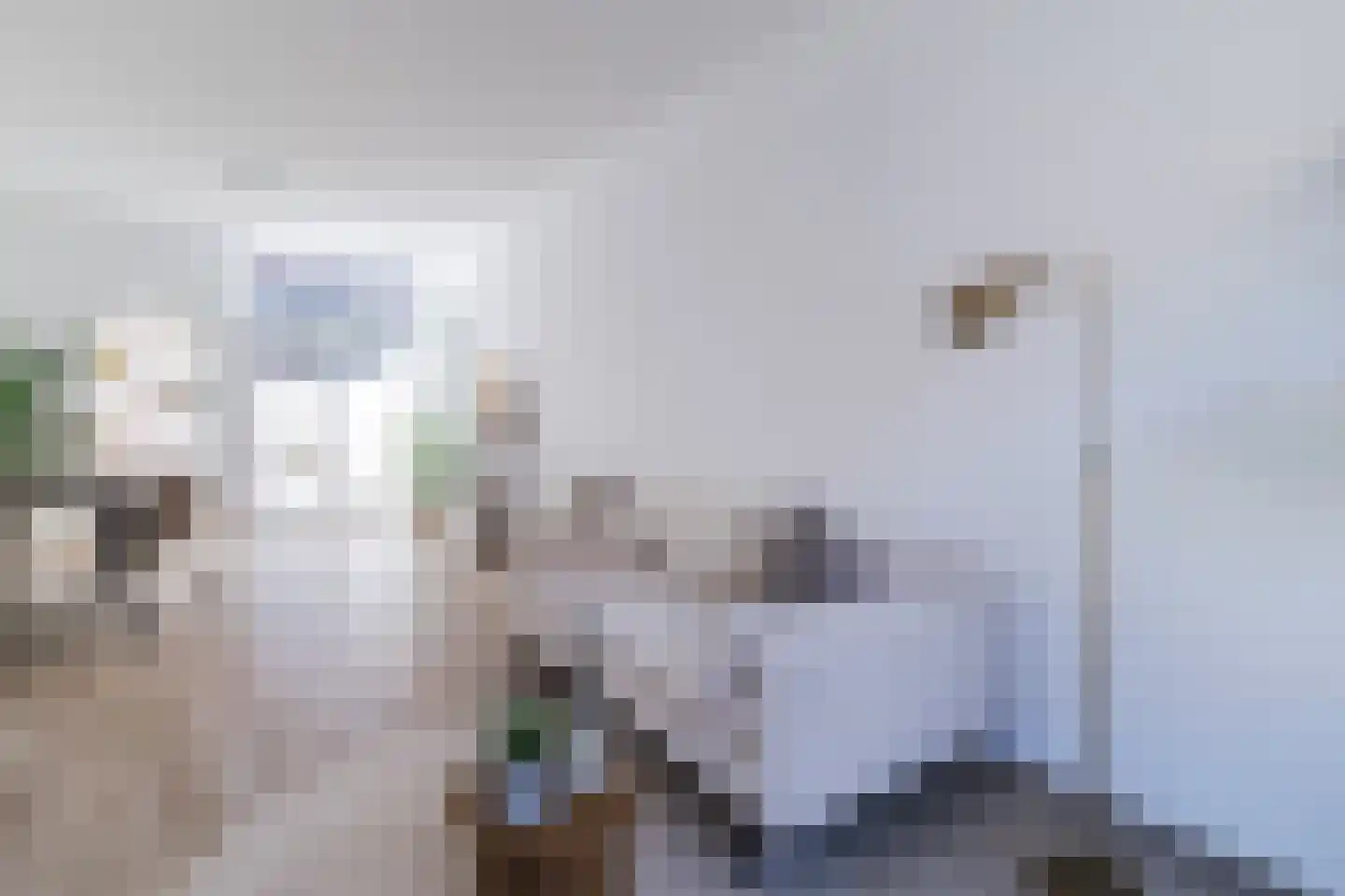Balderikstraat 47 Utrecht thumbnail 7