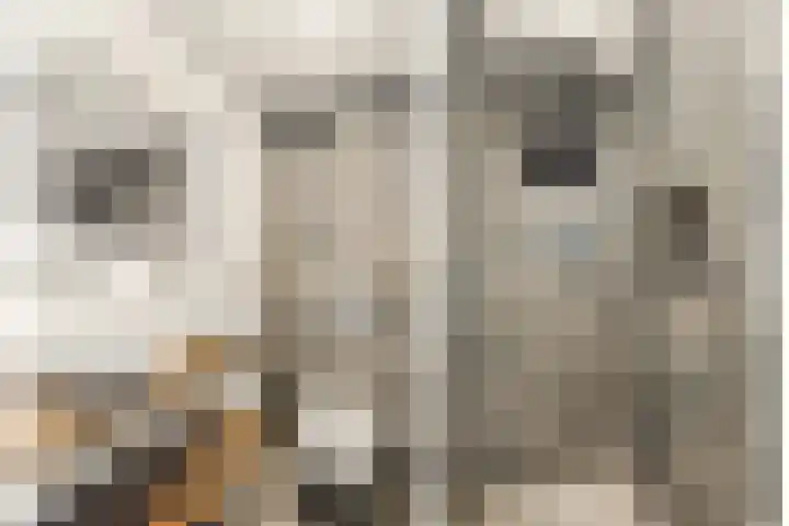 Balderikstraat 53 Utrecht thumbnail 34