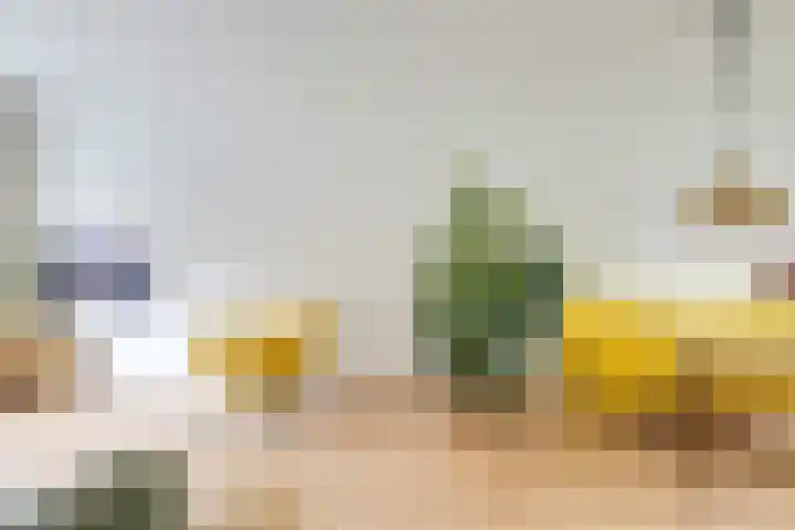 Balderikstraat 54 Utrecht thumbnail 6