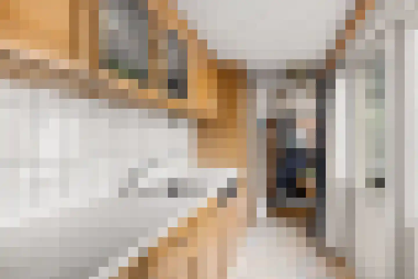 Balderikstraat 61 Utrecht thumbnail 15
