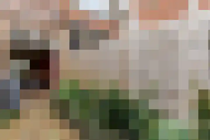 Balderikstraat 73 Utrecht thumbnail 35