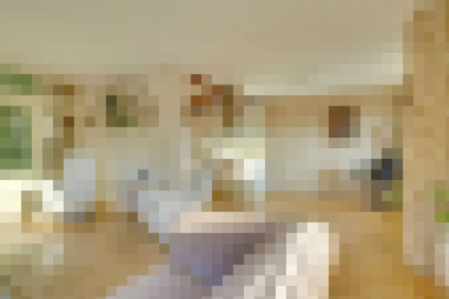 Balderikstraat 79 Utrecht thumbnail 11