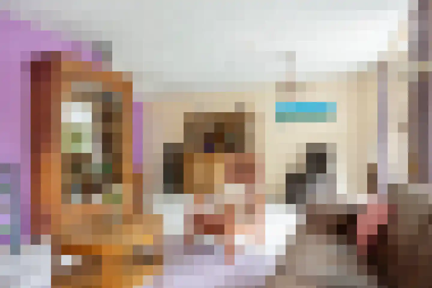 Baldershof 22 Brakel thumbnail 10