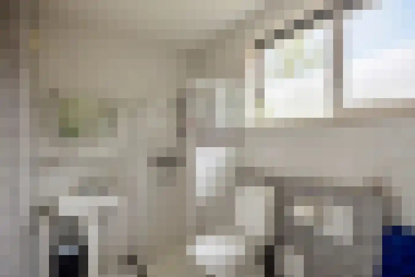 Baldershof 22 Brakel thumbnail 21
