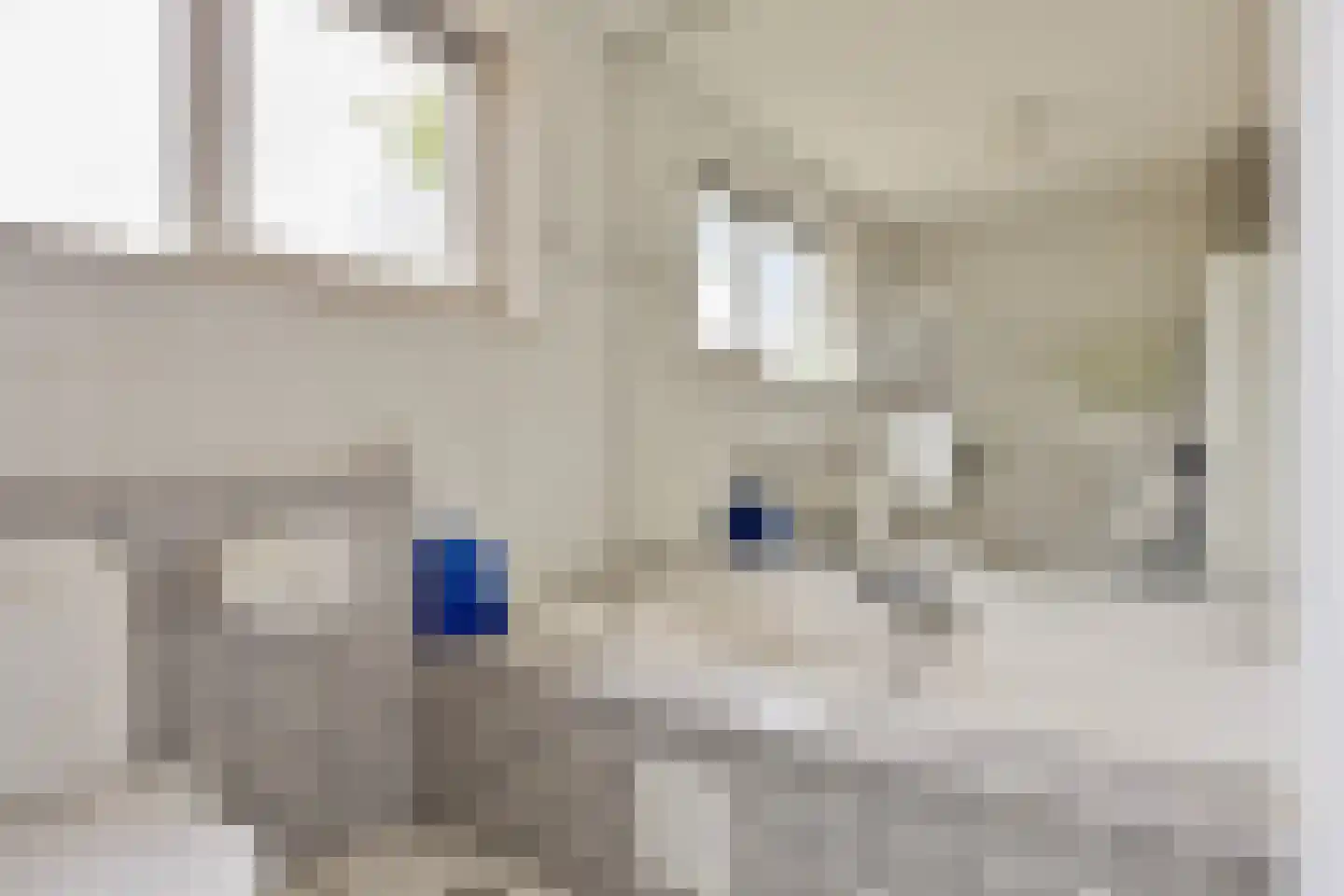 Baldershof 22 Brakel thumbnail 22