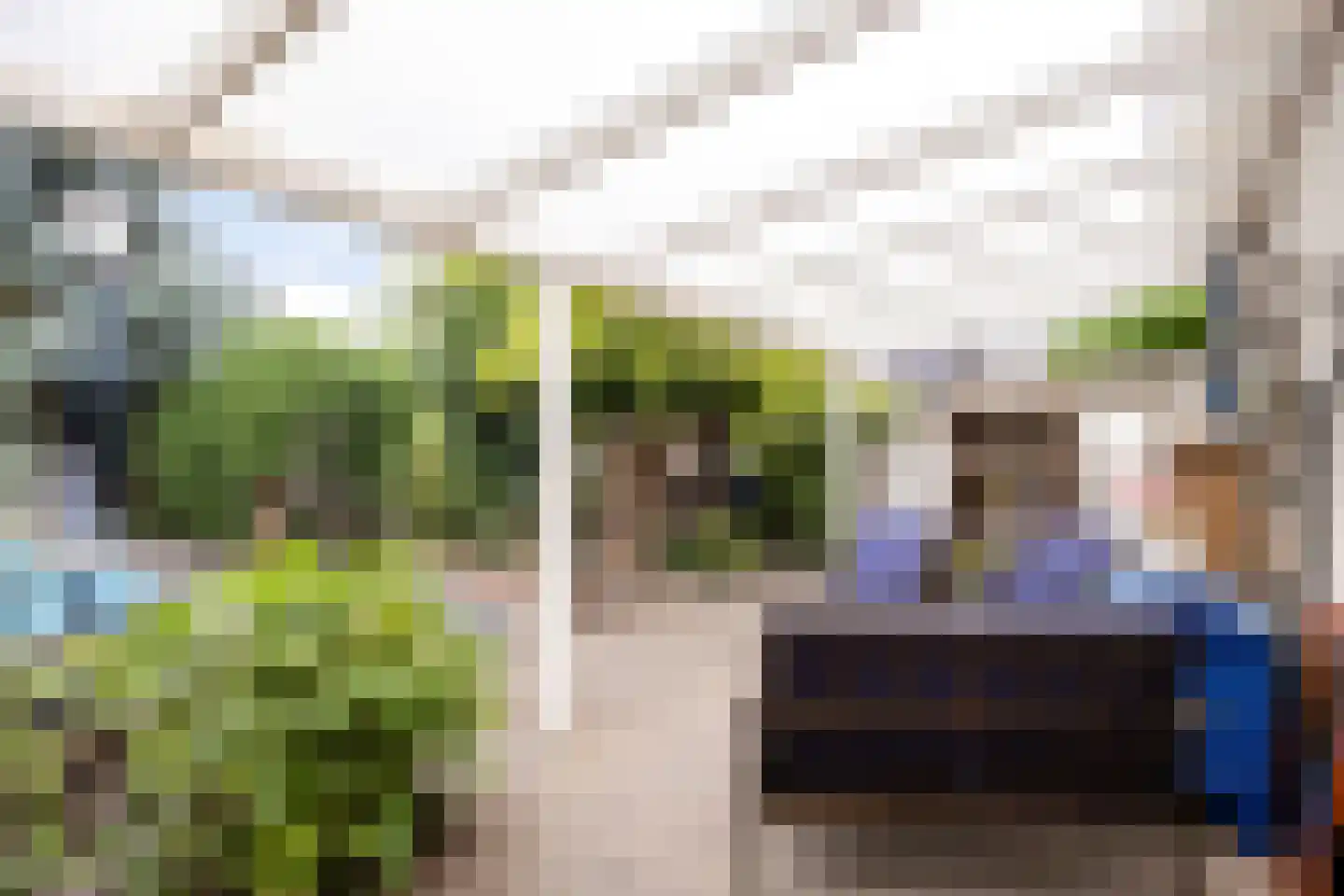 Baldershof 22 Brakel thumbnail 28
