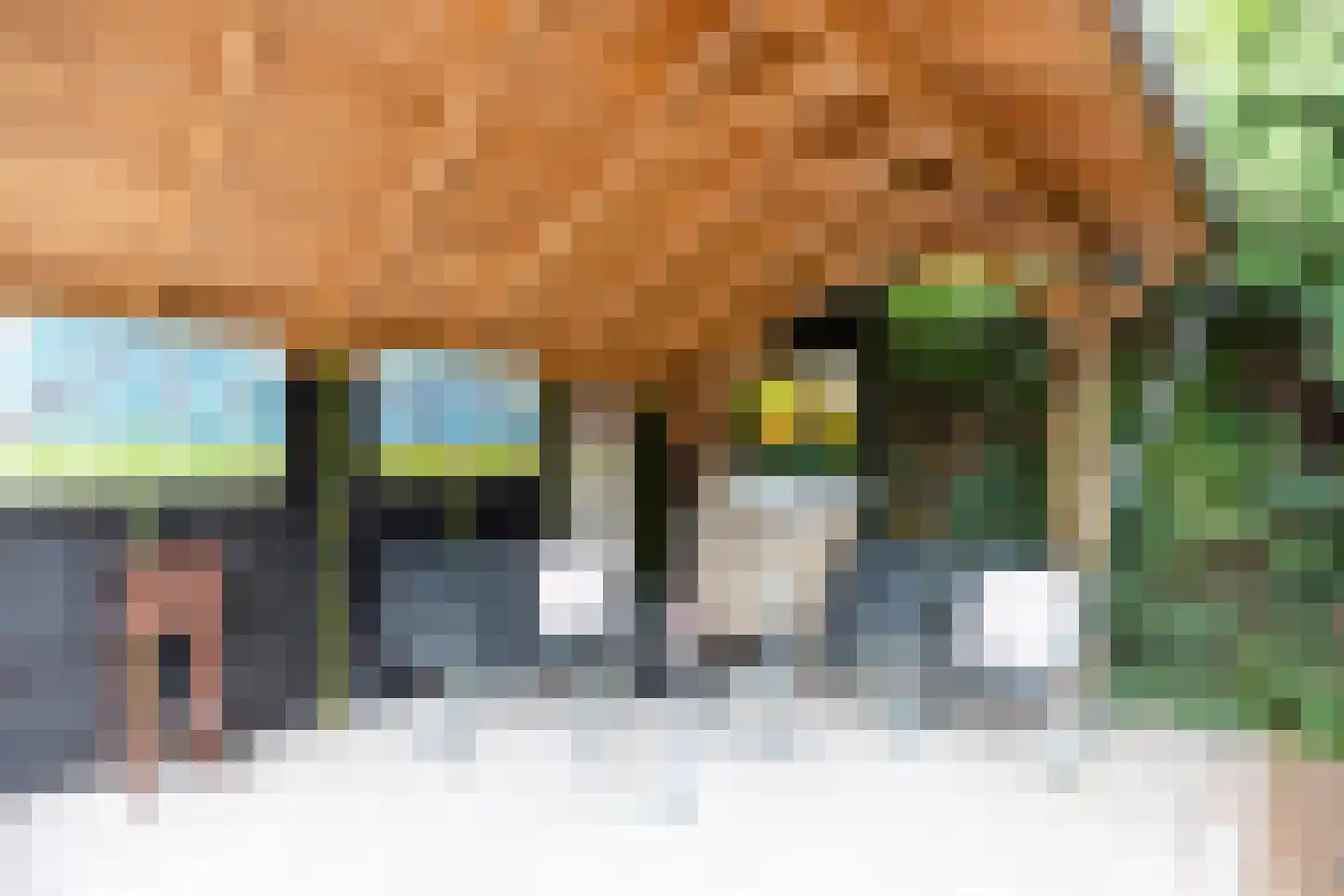 Baldershof 22 Brakel thumbnail 30
