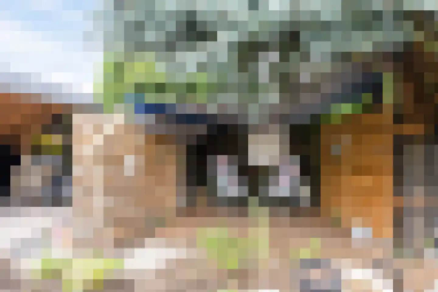 Baldershof 22 Brakel thumbnail 34