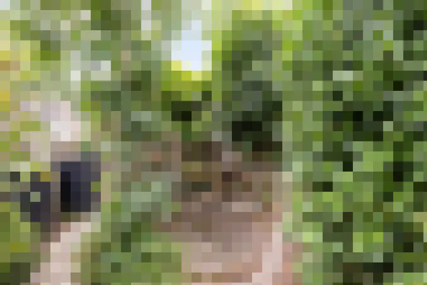 Baldershof 22 Brakel thumbnail 35