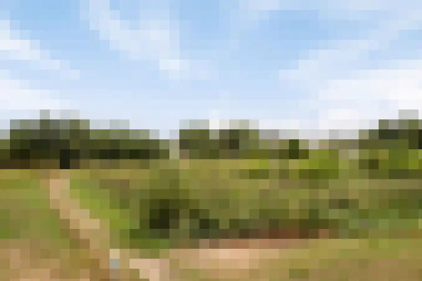 Baldershof 22 Brakel thumbnail 37