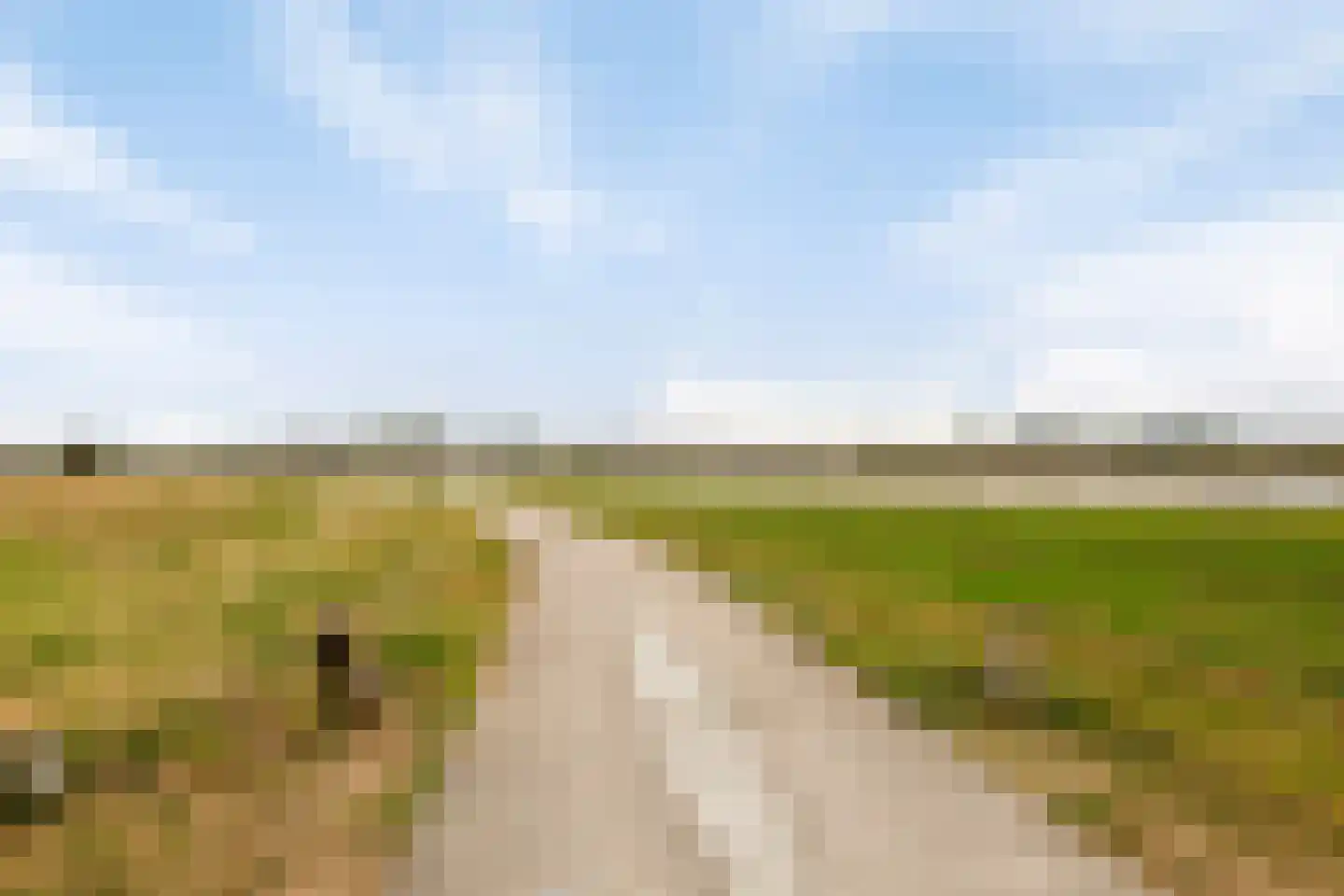 Baldershof 22 Brakel thumbnail 38