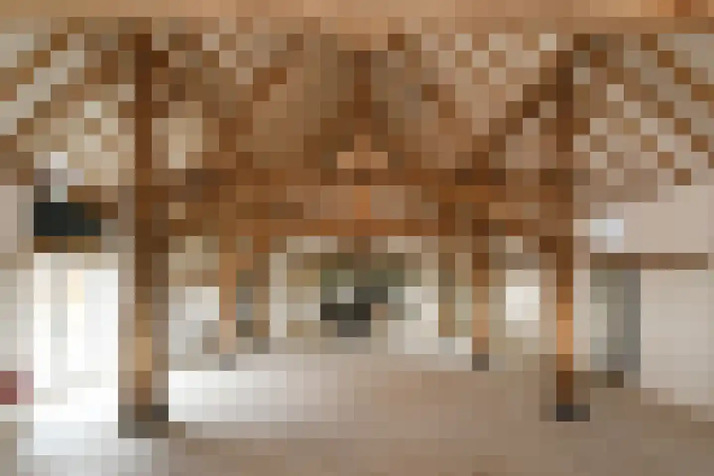 Baldersstraat 1 Ell thumbnail 39
