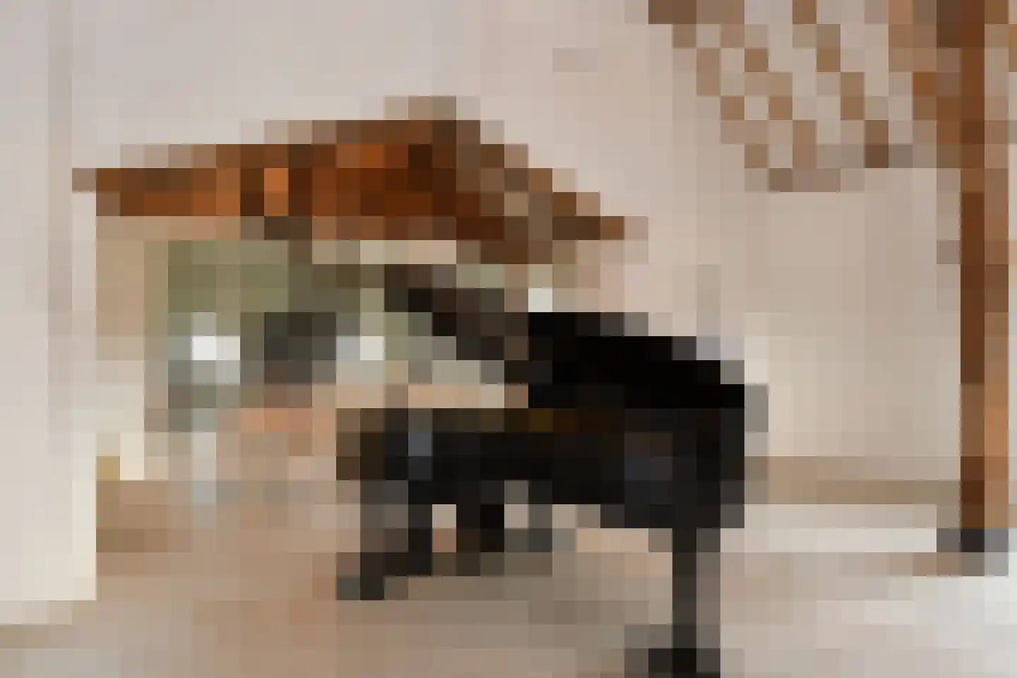 Baldersstraat 1 Ell thumbnail 40
