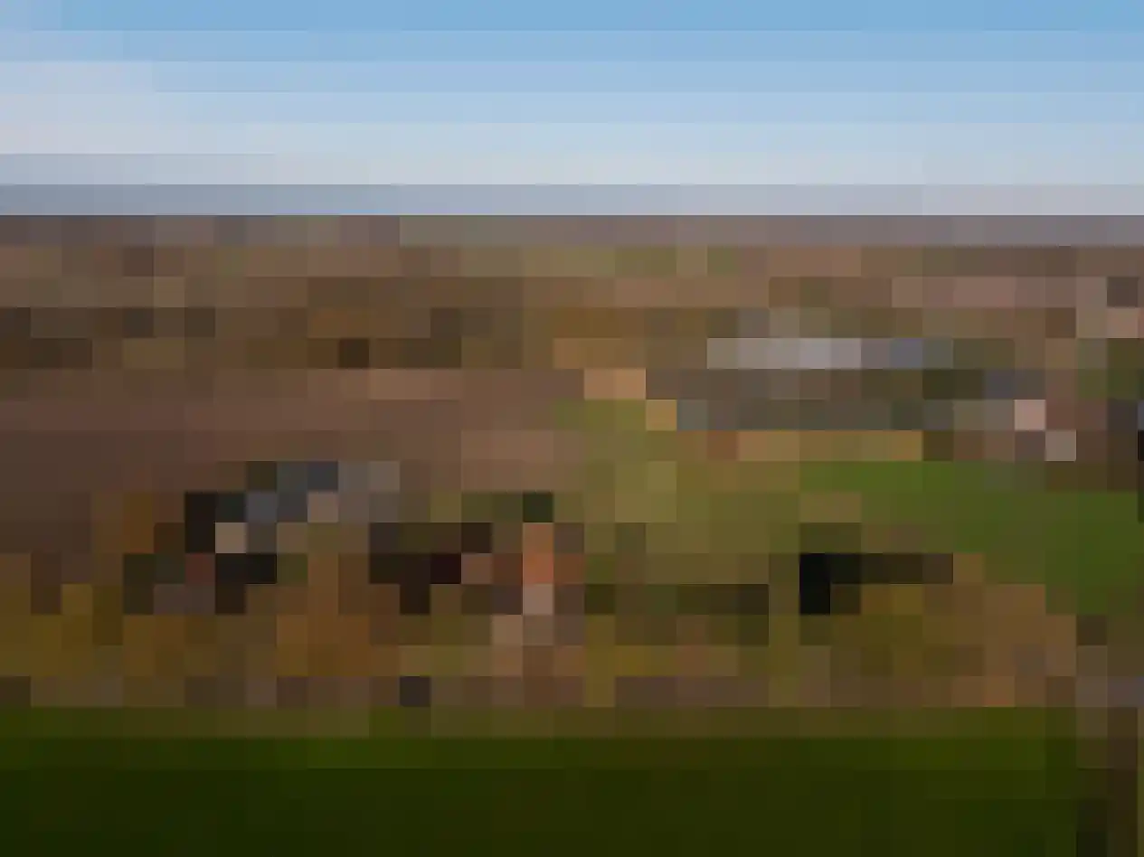 Baldersstraat 1 Ell thumbnail 69