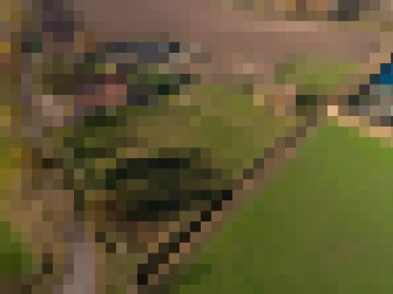 Baldersstraat 1 Ell thumbnail 72