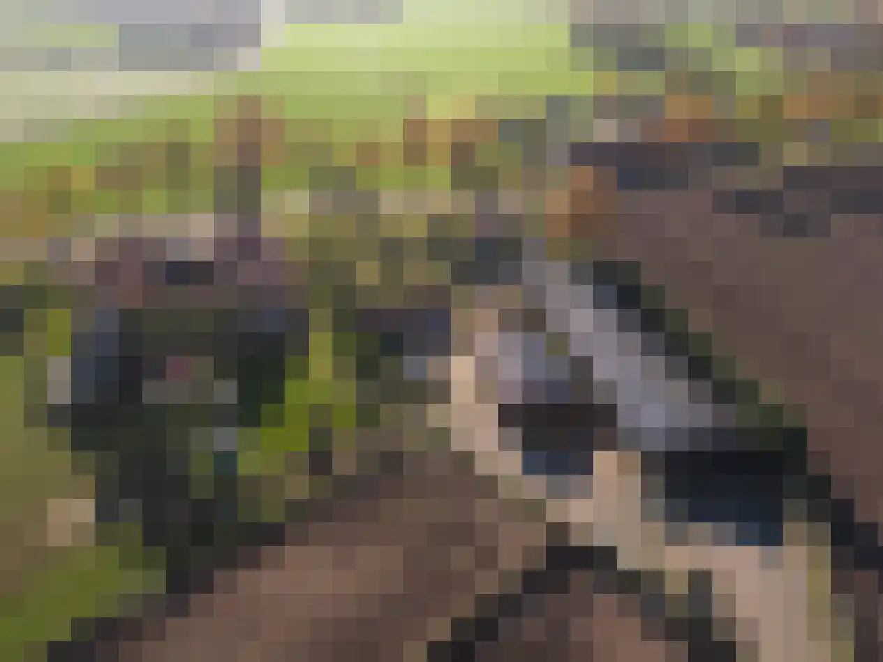 Baldersstraat 1 Ell thumbnail 90