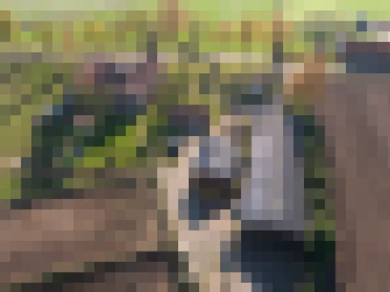 Baldersstraat 1 Ell thumbnail 91