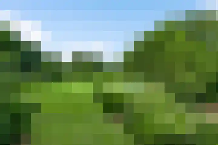 Baldessenweg 3 Nederweert-Eind thumbnail 32