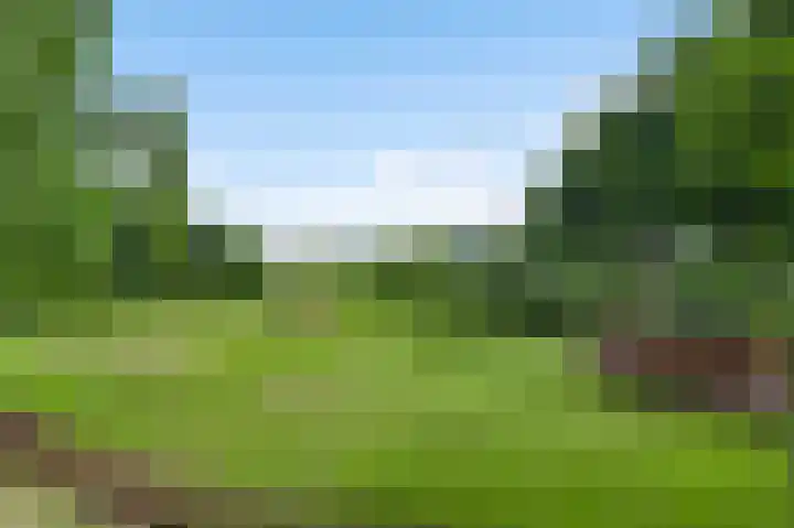 Baldessenweg 3 Nederweert-Eind thumbnail 33