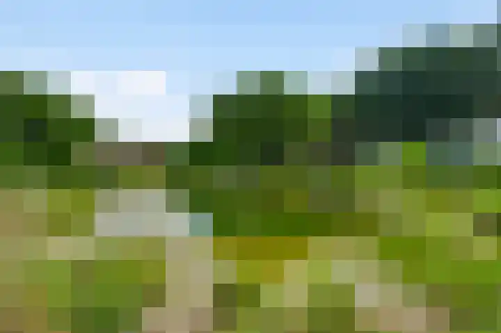 Baldessenweg 3 Nederweert-Eind thumbnail 4