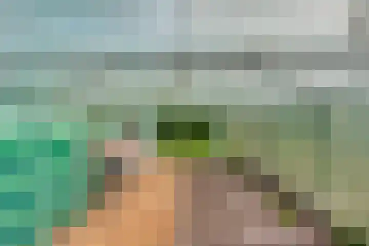 Baldessenweg 3 Nederweert-Eind thumbnail 41