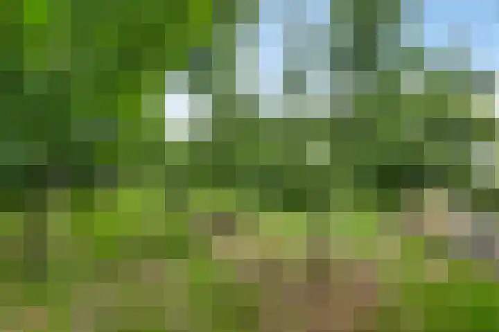 Baldessenweg 3 Nederweert-Eind thumbnail 42