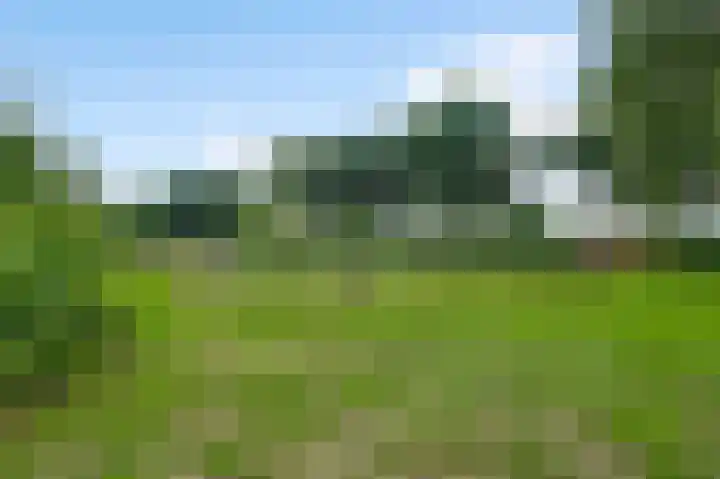 Baldessenweg 3 Nederweert-Eind thumbnail 43