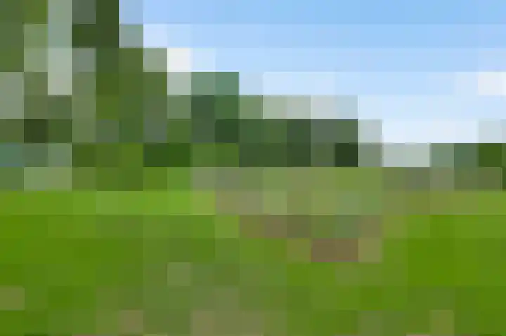 Baldessenweg 3 Nederweert-Eind thumbnail 44
