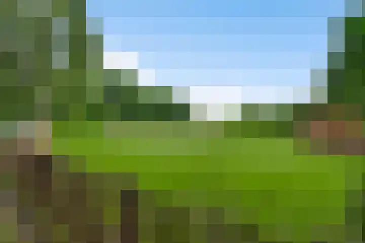 Baldessenweg 3 Nederweert-Eind thumbnail 45
