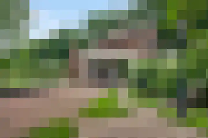 Baldessenweg 3 Nederweert-Eind thumbnail 47